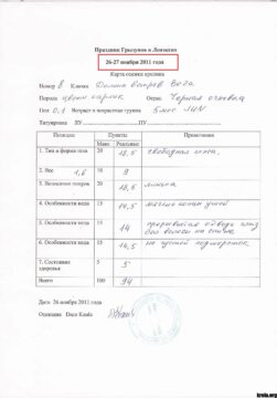 Долина Ветров 
