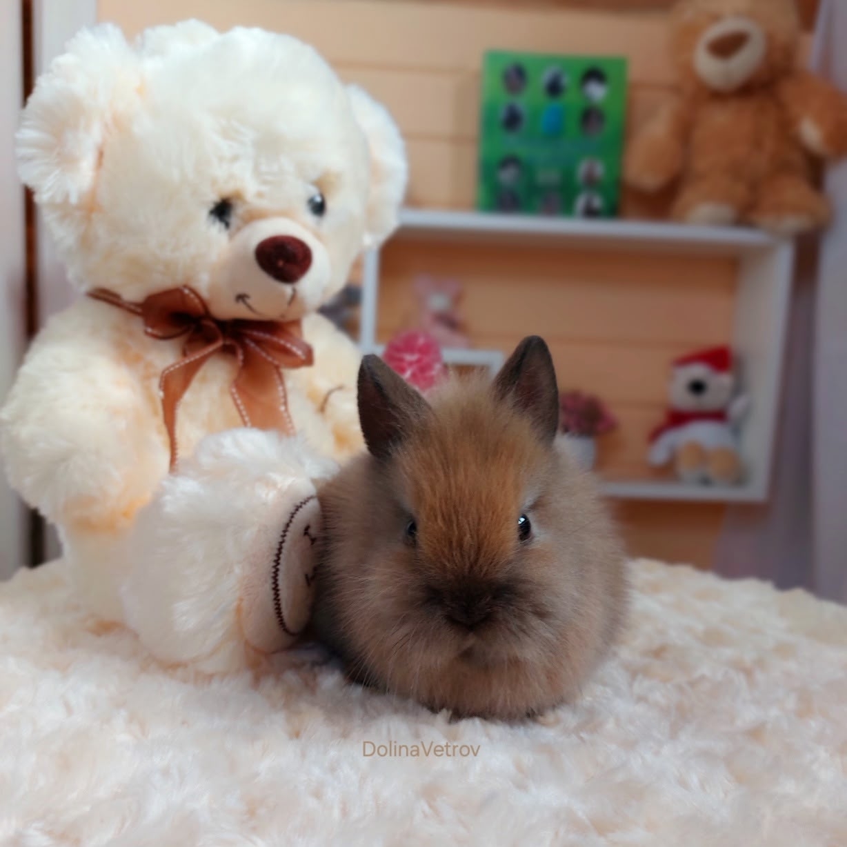 Бублик. Львиноголовый мальчик — изображение 3